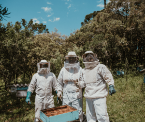 Protective Beekeeper Suits: Shielding Beekeepers from Stings